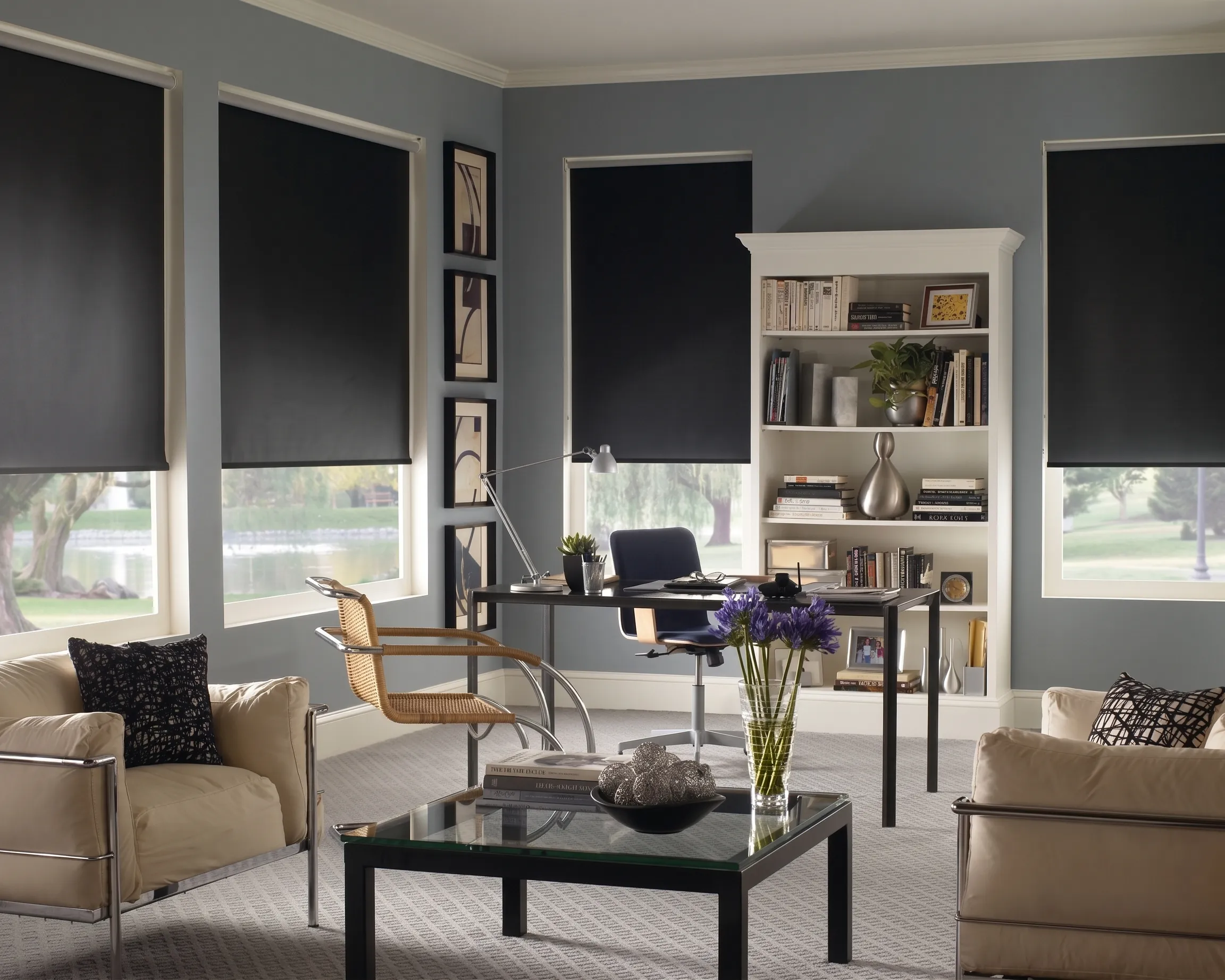 Office Roller Shades