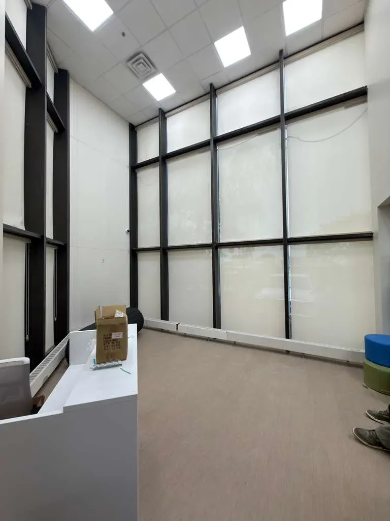 Window Shades