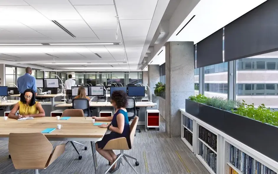 Open Office Shades